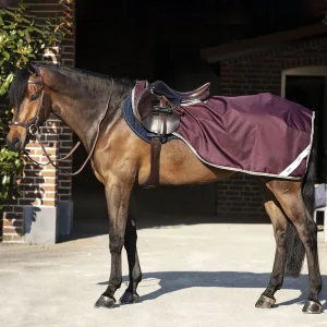 Horseware COPRIRENI IMPERMEABILE Fig navy teal nan coprireni
